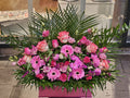 Ewige Liebe – 50 Rosen
