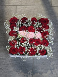 Leidenschaft in Rot – 100 Rosen