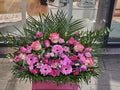 Kleiner Bär – Blumenbox