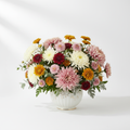 Gelbe Chrysanthemen