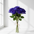 Blaue Ecuadorrosen